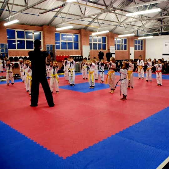 Large 1m Martial Arts Mats