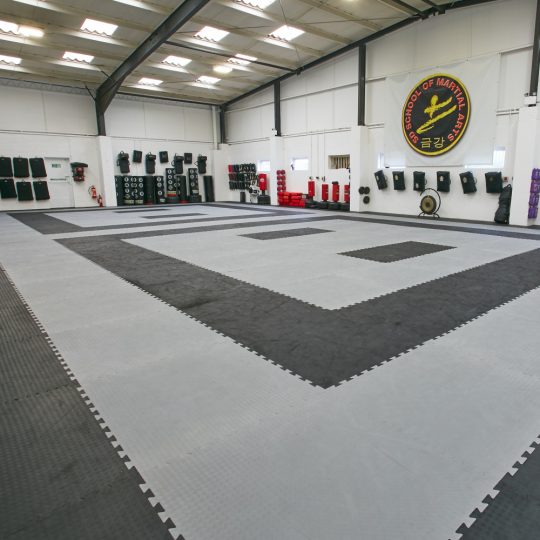 Martial Arts Mats MMA | Soft Floor UK